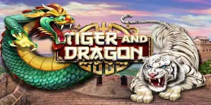 Bí quyết, chiến thuật chơi game Dragon Tiger luôn thắng